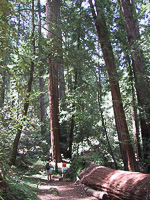 images/small/small_104-0424_img.jpg