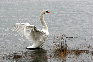 images/small/small_IMG_3600_edited-1.jpg