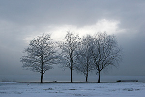 images/small/small_IMG_3772_edited-1.jpg