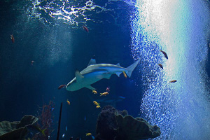 images/small/small_IMG_3881_edited-1.jpg