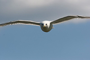 images/small/small_IMG_4419_edited-1.jpg
