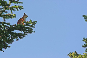 images/small/small_IMG_4790_edited-1.jpg