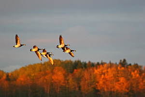 images/small/small_IMG_5389_edited-1.jpg
