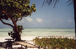 images/small/small_im000008.jpg